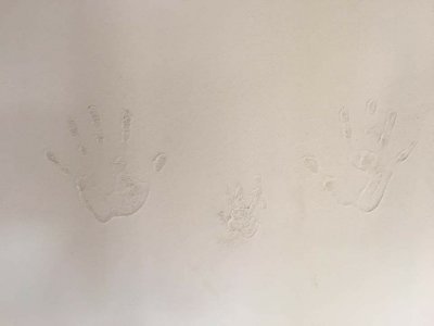 本物の自然素材「漆喰編」 | スタッフ　ブログ