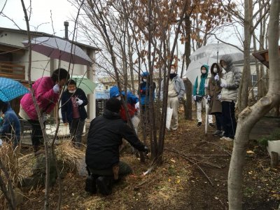庭のワークショップ開催しました。 | スタッフ　ブログ