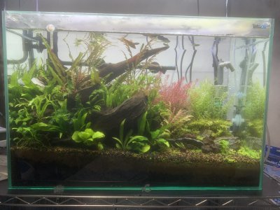 はじめまして！樋口です。 | スタッフ　ブログ