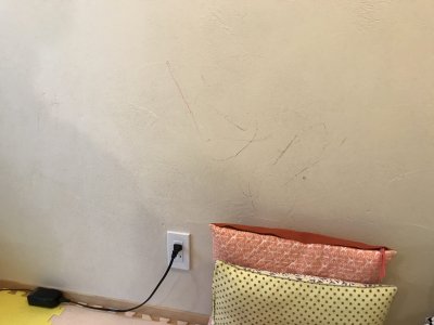 【メンテナンスブログ】漆喰壁の汚れ落とし | スタッフ　ブログ