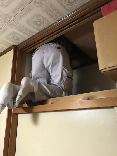 耐震調査の奥深さ | スタッフ　ブログ