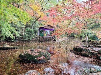 秋ですね | スタッフ　ブログ