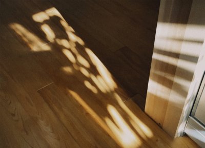 後悔のない家づくり | スタッフ　ブログ