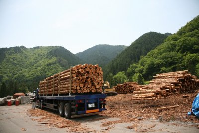 ウッドショックの対応について | お知らせ