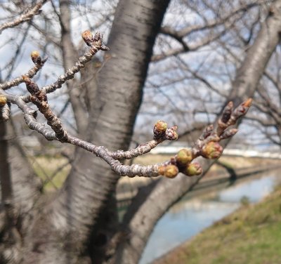 『門出』 | 社長コラム「一期一会」
