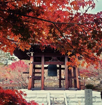 『社寺専門材木屋としての歴史』 | 社長コラム「一期一会」