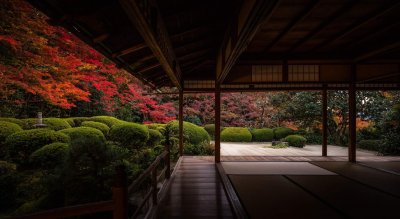 『情緒塾　開講』 | 社長コラム「一期一会」