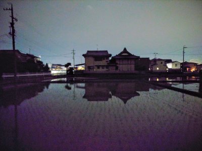 『田鏡』 | 社長コラム「一期一会」