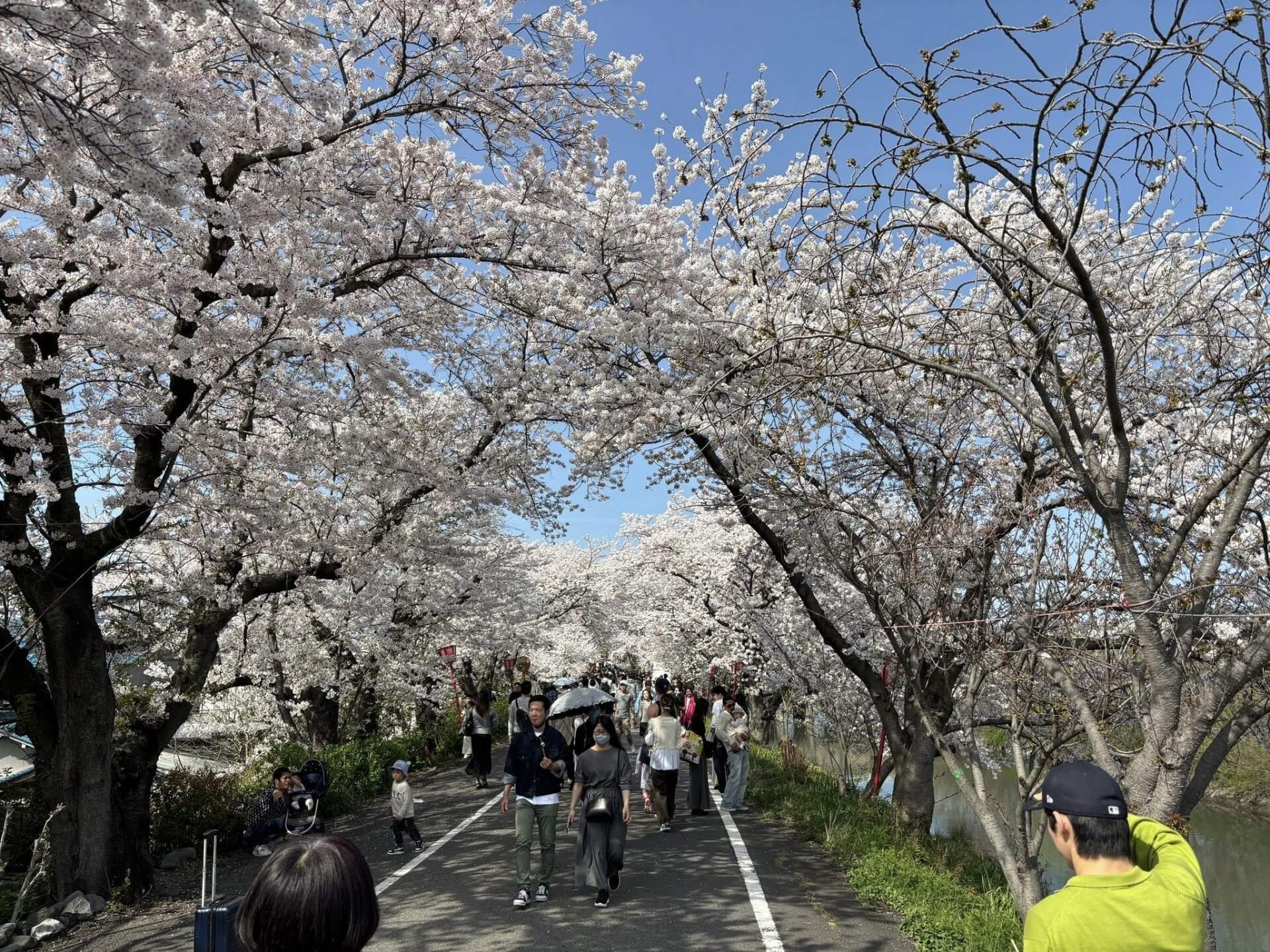 『命日』 | その他