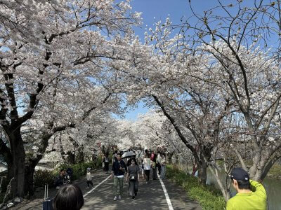 『命日』 | その他