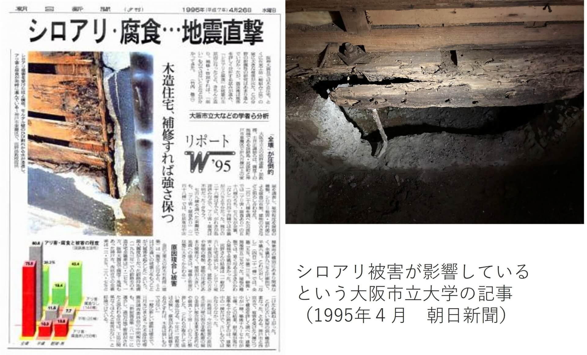 冬でも油断は禁物!白アリに要注意 | リノベコラム