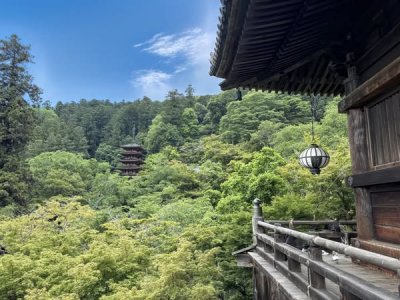 『大和國・長谷寺』 | 社長コラム「一期一会」