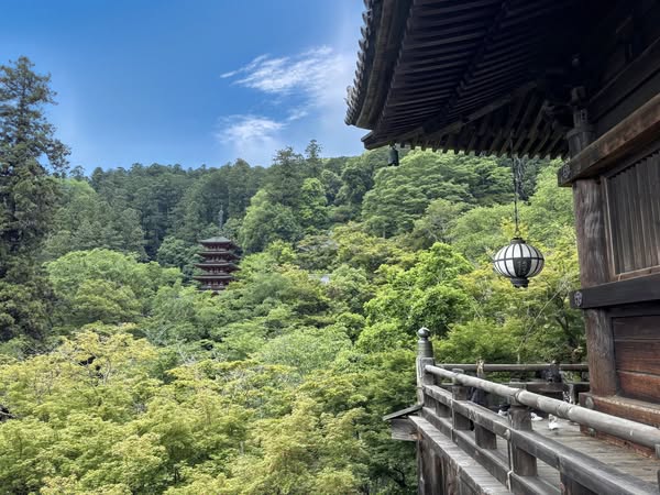 『大和國・長谷寺』 | 社長コラム「一期一会」