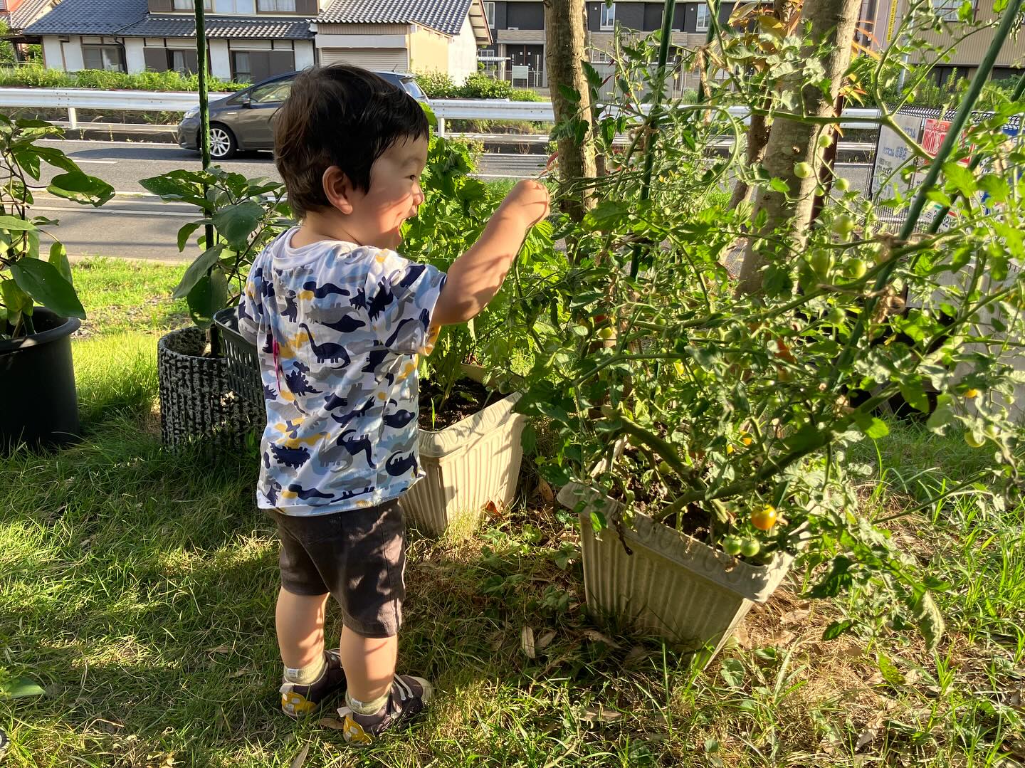 家を建てると叶う暮らしの楽しみ ― 家族で楽しむ小さな家庭菜園 | スタッフ　ブログ