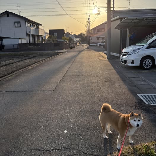 『お天道さまは、見ている。』 | 社長コラム「一期一会」