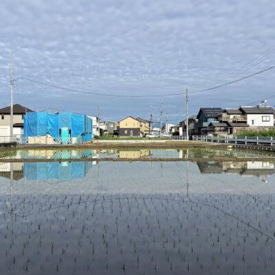 『水鏡』 | 社長コラム「一期一会」