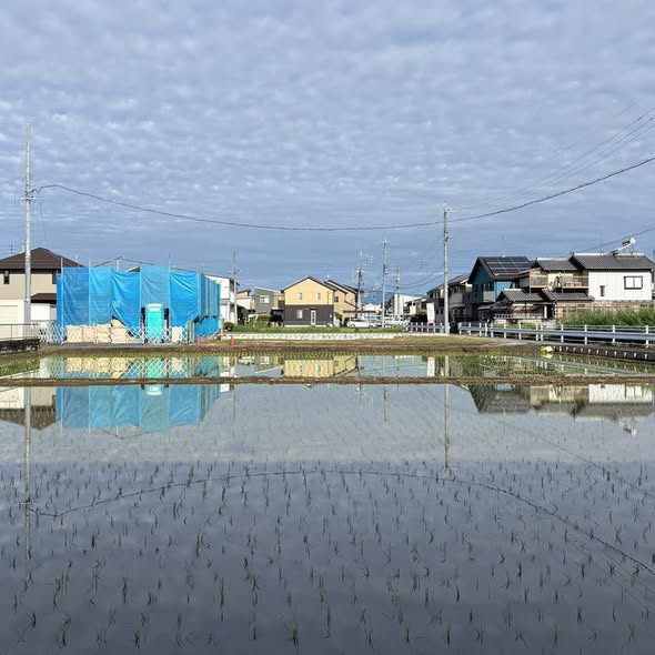 『水鏡』 | 社長コラム「一期一会」
