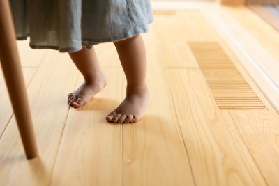 無垢材の樹種選びで迷ったとき、何を基準に比べればいいのか | 